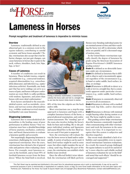 Lameness in Horses Prompt Recognition and Treatment of Lameness Is Imperative to Minimize Losses