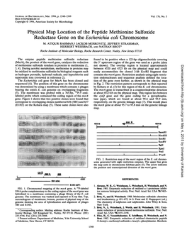 Physical Map Location of the Peptide Methionine Sulfoxide Reductase Gene on the Escherichia Coli Chromosome M