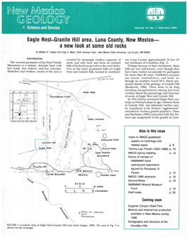 Stratigraphic and Structural Studies in the Mt. Withington Caldera, Grassy