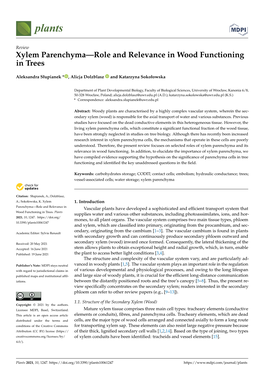 Xylem Parenchyma—Role and Relevance in Wood Functioning in Trees