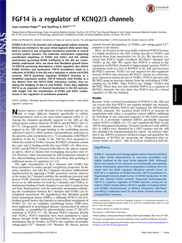 FGF14 Is a Regulator of KCNQ2/3 Channels