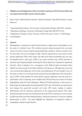 Multiple Ancestral Duplications of the Red-Sensitive Opsin Gene (LWS) In