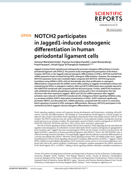 NOTCH2 Participates in Jagged1-Induced Osteogenic Differentiation in Human Periodontal Ligament Cells