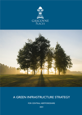 A Green Infrastructure Strategy