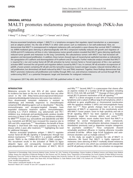 MALT1 Promotes Melanoma Progression Through JNK/C-Jun Signaling