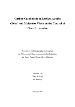 Global and Molecular Views on the Control of Gene Expression