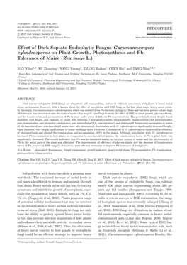 Effect of Dark Septate Endophytic Fungus Gaeumannomyces Cylindrosporus on Plant Growth, Photosynthesis and Pb Tolerance of Maize