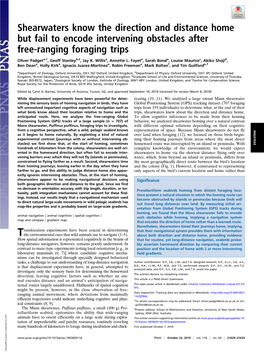 Shearwaters Know the Direction and Distance Home but Fail to Encode Intervening Obstacles After Free-Ranging Foraging Trips