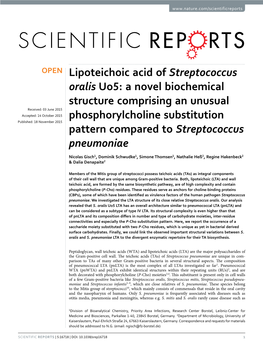 Lipoteichoic Acid of Streptococcus Oralis