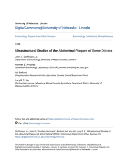 Ultrastructural Studies of the Abdominal Plaques of Some Diptera