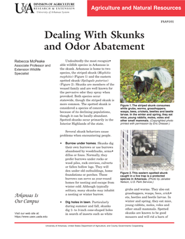 Dealing with Skunks and Odor Abatement