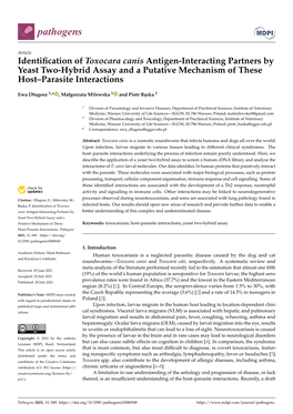 Identification of Toxocara Canis Antigen-Interacting Partners