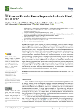 ER Stress and Unfolded Protein Response in Leukemia: Friend, Foe, Or Both?