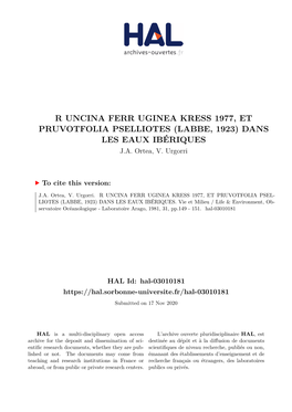 R Uncina Ferr Uginea Kress 1977, Et Pruvotfolia Pselliotes (Labbe, 1923) Dans Les Eaux Ibériques J.A
