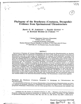 Phylogeny of the Brachyura (Crustacea, Decapoda): Evidence from Spermatozoal Ultrastructure