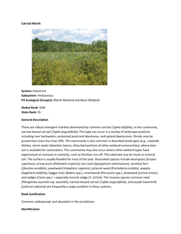 Cat-Tail Marsh System: Palustrine Subsystem