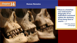 Human Remains Human Remains