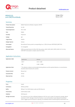 Anti-CNOT8 Antibody (ARG41113)