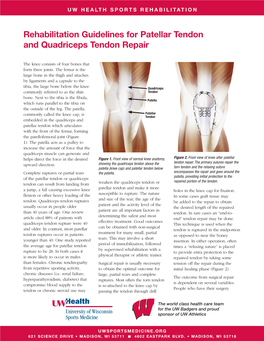 Rehabilitation Guidelines for Patellar Tendon and Quadriceps Tendon Repair