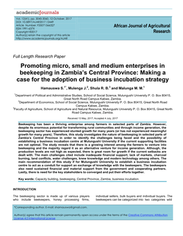 Promoting Micro, Small and Medium Enterprises in Beekeeping in Zambia's Central Province