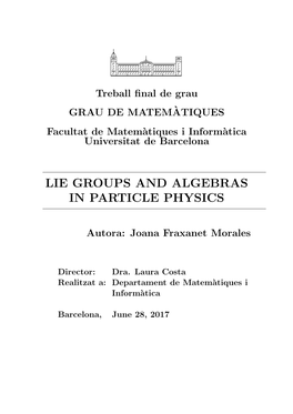 Lie Groups and Algebras in Particle Physics