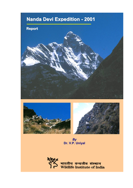 Nanda Devi Expedition - 2001