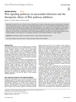 Wnt Signaling Pathways in Myocardial Infarction and the Therapeutic Effects of Wnt Pathway Inhibitors