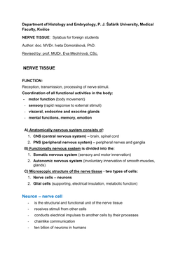 NERVE TISSUE Neuron – Nerve Cell