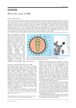 HIV As the Cause of AIDS