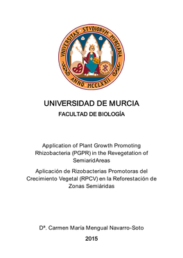 Universidad De Murcia