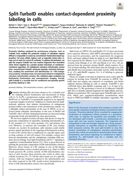 Split-Turboid Enables Contact-Dependent Proximity Labeling in Cells