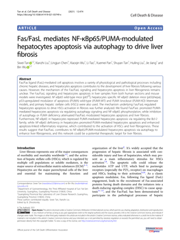 Fas/Fasl Mediates NF-Κbp65/PUMA-Modulated