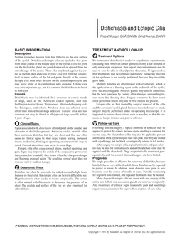 Distichiasis and Ectopic Cilia