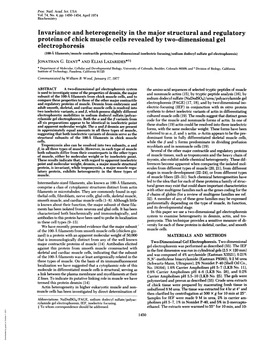 Electrophoresis (100-A Filaments/Muscle Contractile Proteins/Two-Dimensional Isoelectric Focusing/Sodium Dodecyl Sulfate Gel Electrophoresis) JONATHAN G