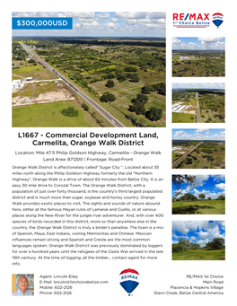 L1667 - Commercial Development Land, Carmelita, Orange Walk District