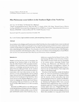 Plio-Pleistocene Scour Hollows in the Southern Bight of the North Sea