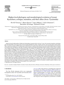 Higher-Level Phylogeny and Morphological Evolution of Tyrant Xycatchers, Cotingas, Manakins, and Their Allies (Aves: Tyrannida)