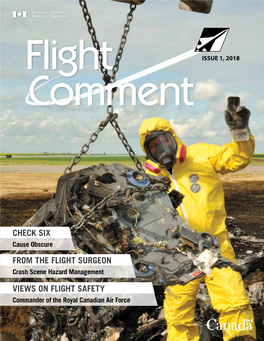Views on Flight Safety Check Six from the Flight Surgeon