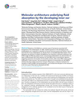 Molecular Architecture Underlying Fluid Absorption by the Developing Inner