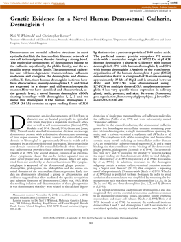 Genetic Evidence for a Novel Human Desmosomal Cadherin, Desmoglein 4