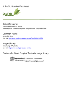 1. Padil Species Factsheet Scientific Name: Common Name Image Library Partners for Smut Fungi of Australia Image Library