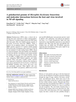 A Polydnaviral Genome of Microplitis Bicoloratus Bracovirus and Molecular Interactions Between the Host and Virus Involved in NF-Jb Signaling