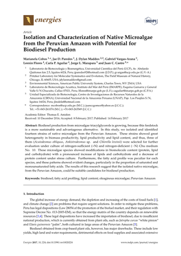 Isolation and Characterization of Native Microalgae from the Peruvian Amazon with Potential for Biodiesel Production