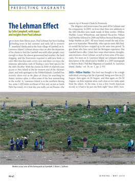 Birding 10-3 08Feature1:Layout 1