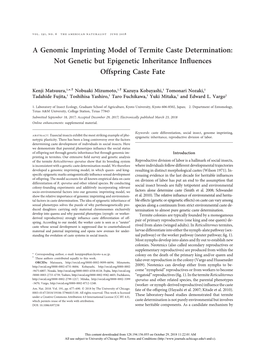 A Genomic Imprinting Model of Termite Caste Determination: Not Genetic but Epigenetic Inheritance Inﬂuences Offspring Caste Fate