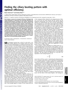 Finding the Ciliary Beating Pattern with Optimal Efficiency