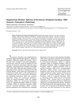 Negastriinae Studies: Species of the Genus Arhaphes Candèze, 1860