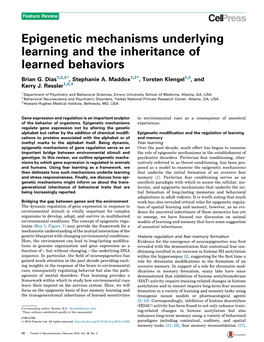 Epigenetic Mechanisms Underlying Learning and the Inheritance of Learned Behaviors