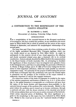 Journal of Anatomy