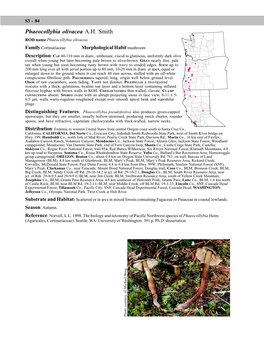 Phaeocollybia Olivacea A.H. Smith ROD Name Phaeocollybia Olivacea Family Cortinariaceae Morphological Habit Mushroom